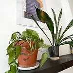 شقة Cozy Night Jezyce, Blisko Mtp, Self Check-in بوزنان